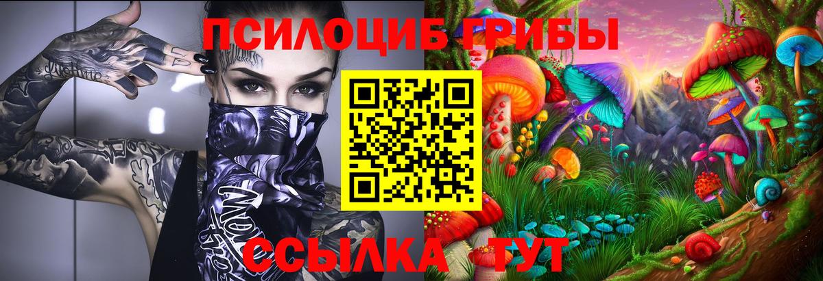 Галлюциногенные грибы Cubensis  Псилоцибиновые грибы Psilocybine cubensis  Анапа  Вход с VPN 